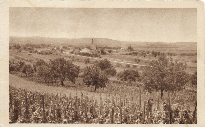 Prátlsbrun / Bratelsbrunn – pohled na obec – pohlednice (#07)