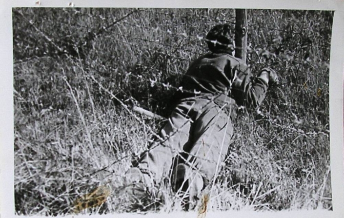 Fotografie mrtvého v drátěném zátarasu (pod elektrickým napětím) na hranicích v úseku obce Březí, zdroj: Luděk Navara / Archiv bezpečnostních složek